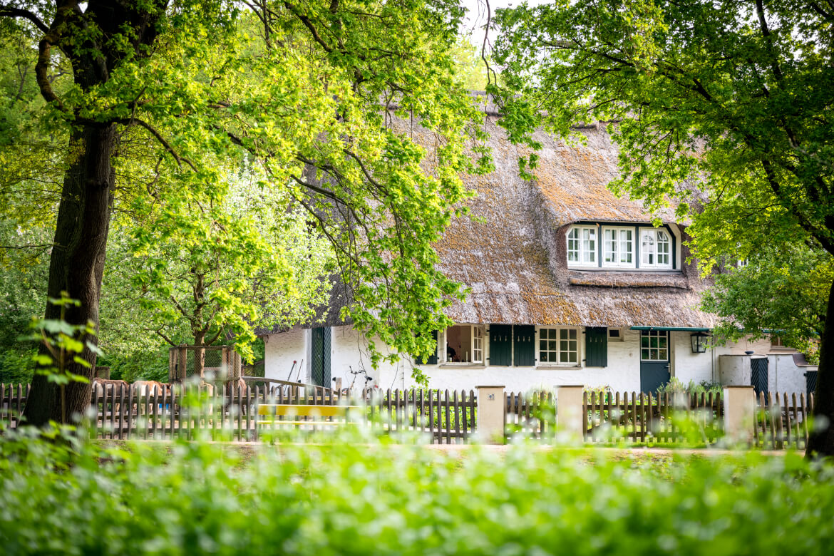 Haus mit Reetdach im Bremer Bürgerpark