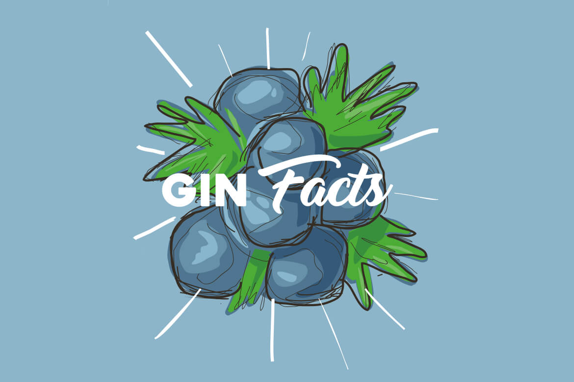 Keyvisual Gin-Facts