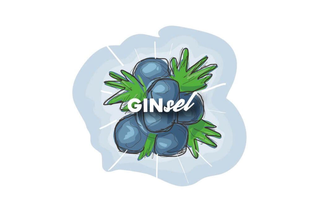 Keyviusal Gin-sel